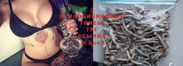 кокс Абаза