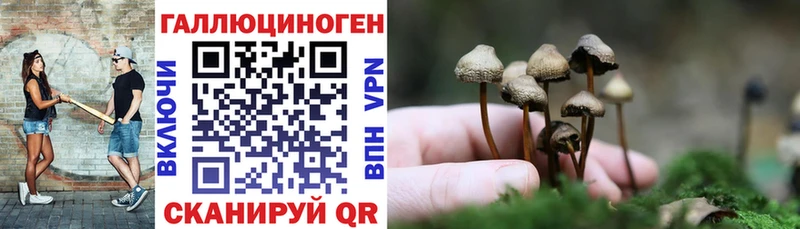 Псилоцибиновые грибы мухоморы сколько стоит Инта